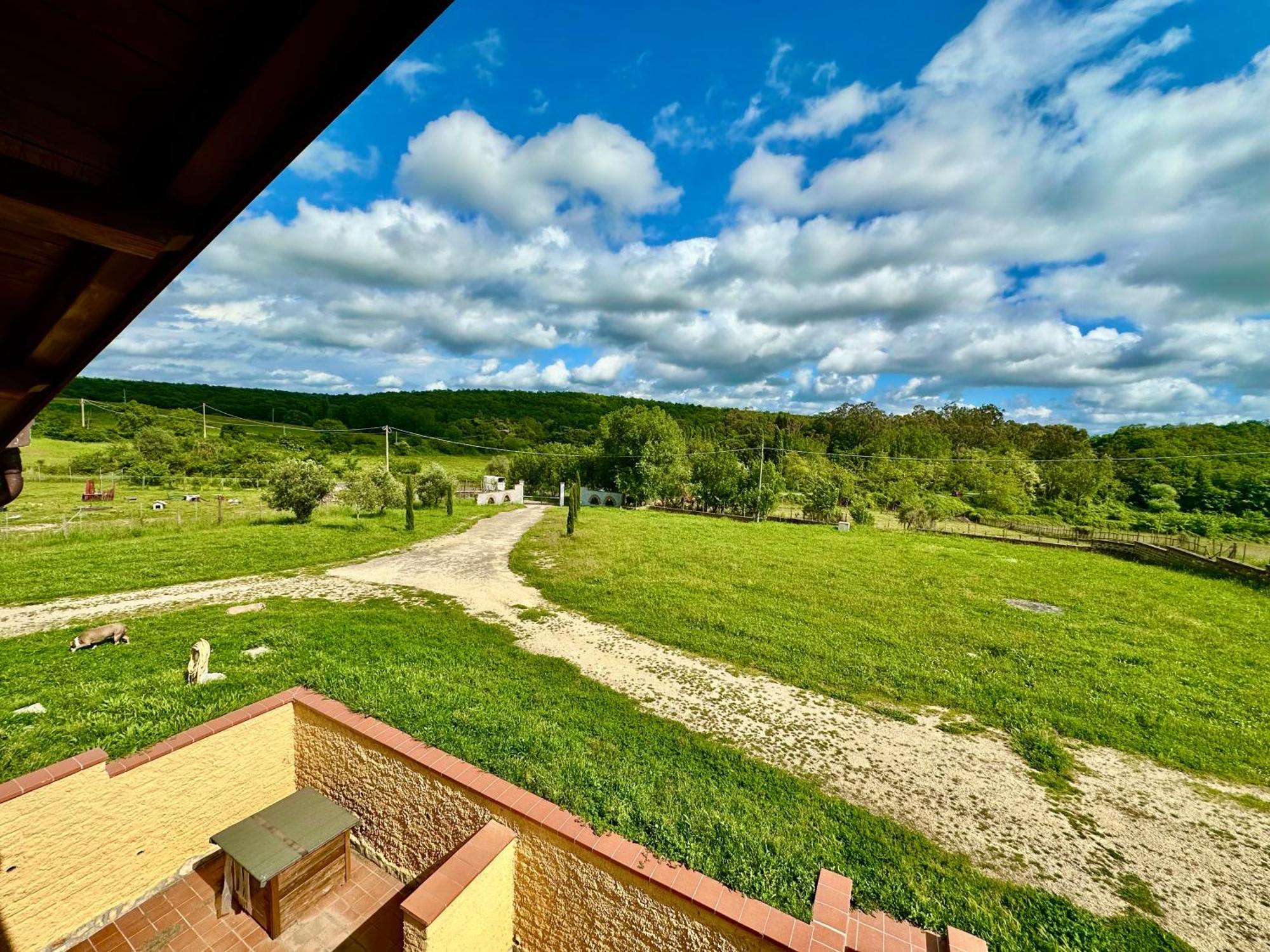 Villa Tuscia Apartments Tuscania Exteriér fotografie